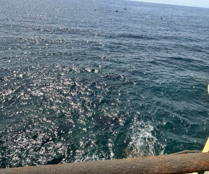 Appartamento Salto nel Vuoto